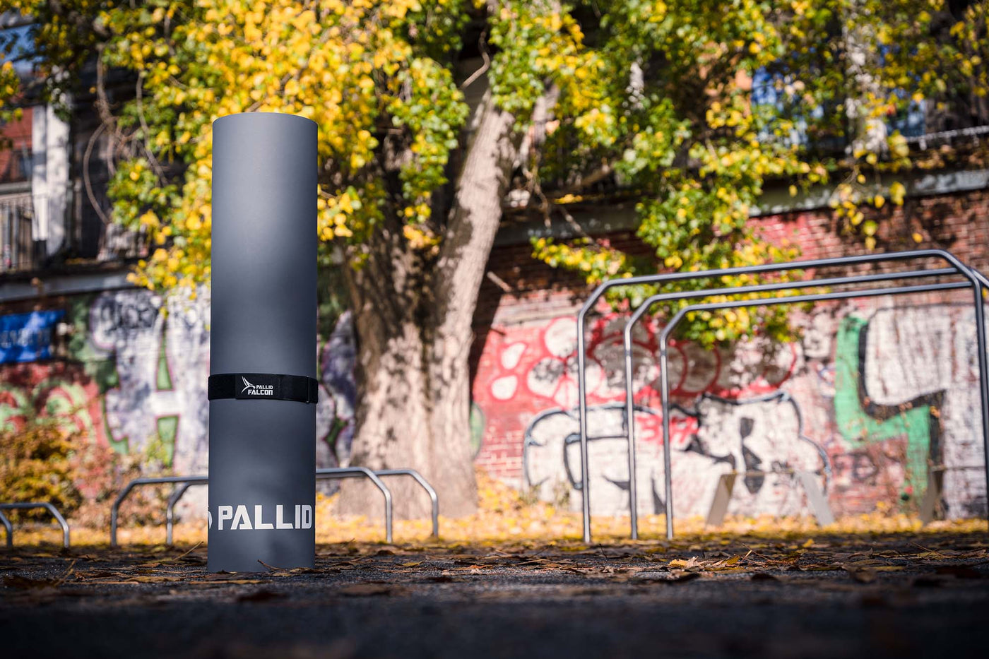 pallid falcon gymnastikmatte calisthenics park outdoor