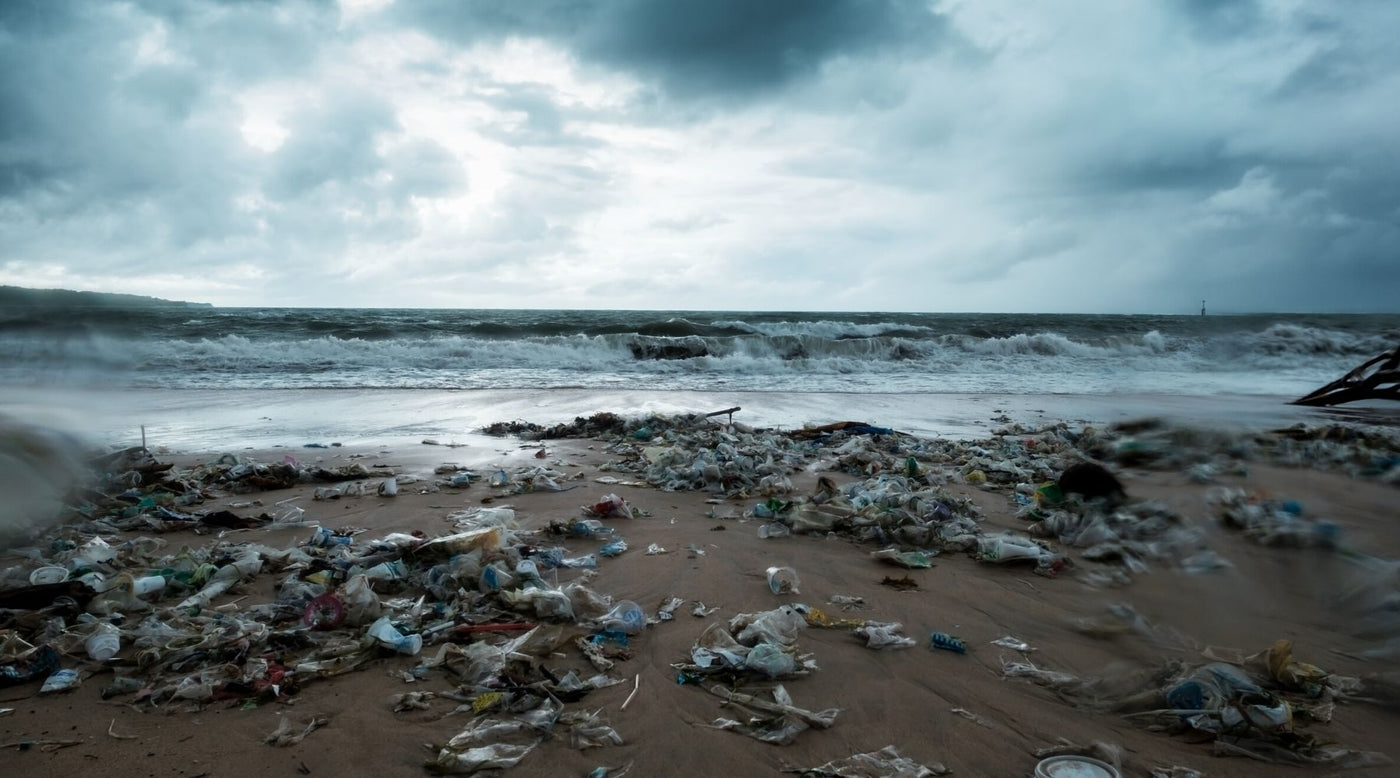 pallid falcon umweltverschmutzung plastikmüll mikroplastik meer